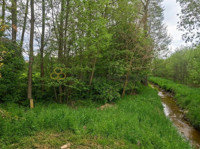 Działka rekreacyjna Gozdnica,
