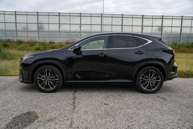Lexus NX450H + 309KM, AWD