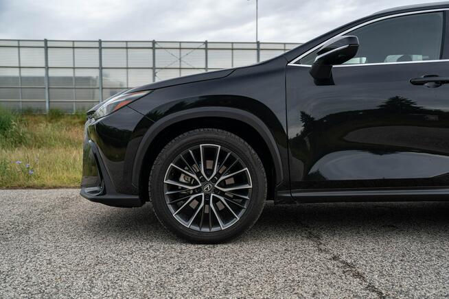 Lexus NX450H + 309KM, AWD