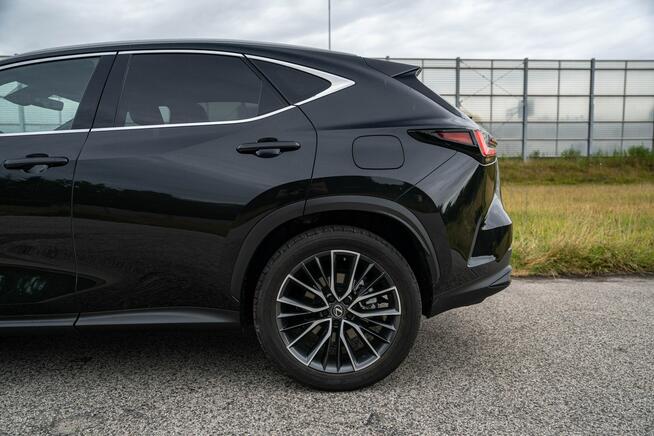 Lexus NX450H + 309KM, AWD