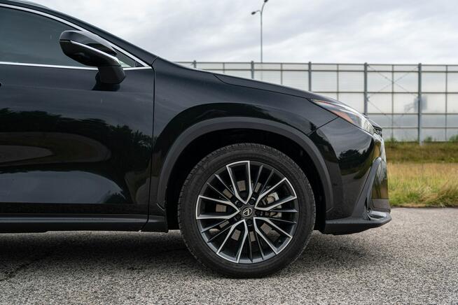 Lexus NX450H + 309KM, AWD