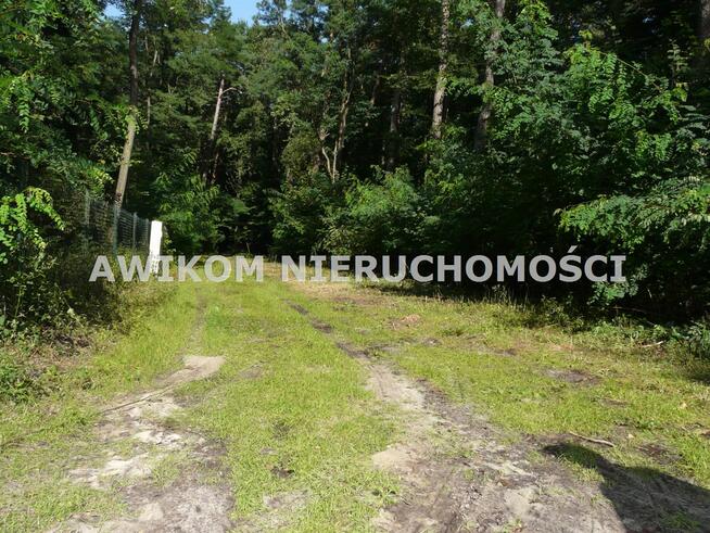 Działka siedliskowa Olszanka gm. Puszcza Mariańska