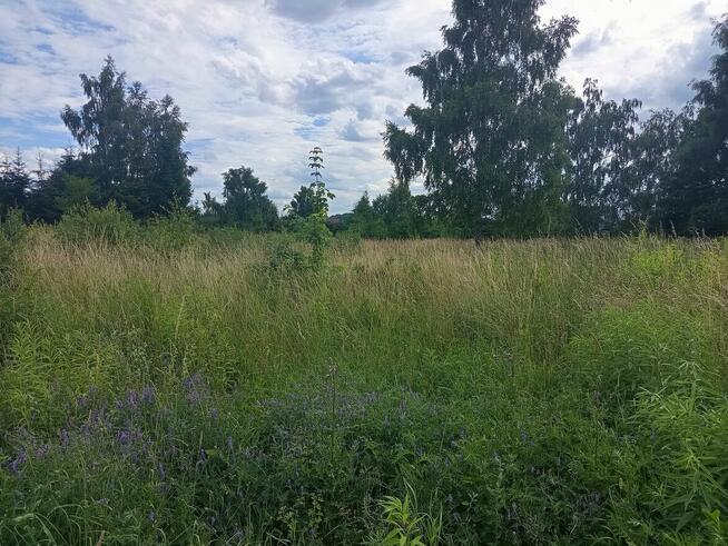 Działka budowlana Niekłonice