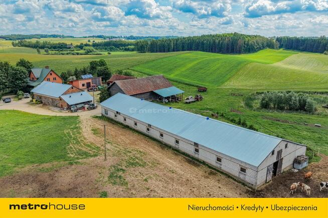 Gospodarstwo 29,4 ha z maszynami i domem
