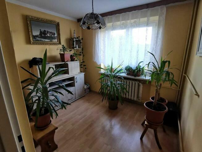 2 domy, Stolarzowice bez pośrednika