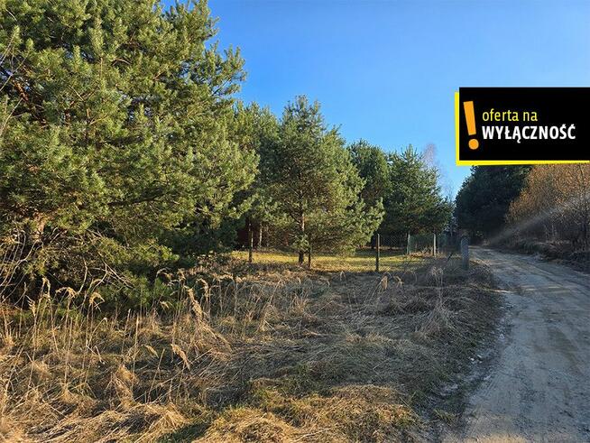 Działka rekreacyjna Życiny gm. Raków,