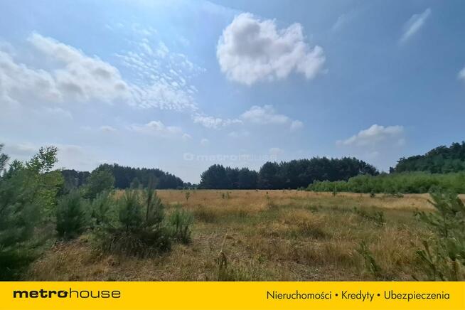 Działka 2,8ha w Dolinie Baryczy Wilkowo