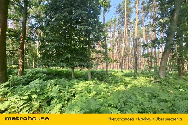 Działka 2,8ha w Dolinie Baryczy Wilkowo