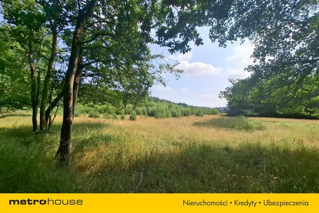 Działka 2,8ha w Dolinie Baryczy Wilkowo