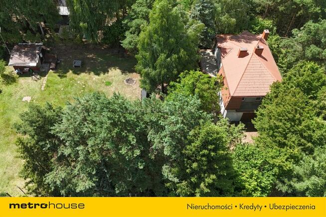 wolnostojący Pogorzelec