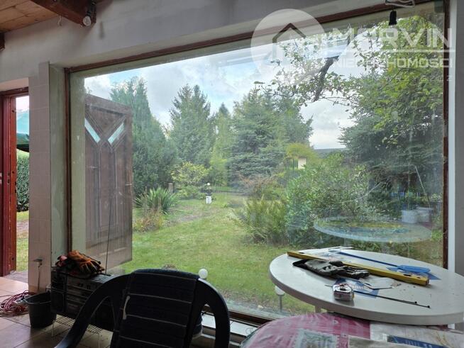 Piękny ROD (300m2) z Domkiem (26m2/5m wys.) !!!