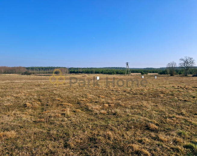 Działka budowlana Rajczyn gm. Wińsko,