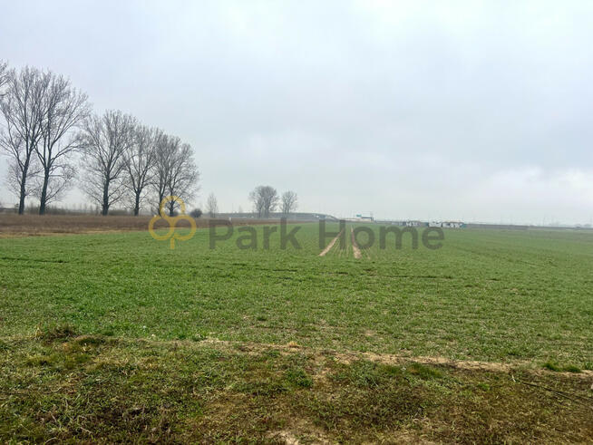 Działka inwestycyjna Święciechowa,