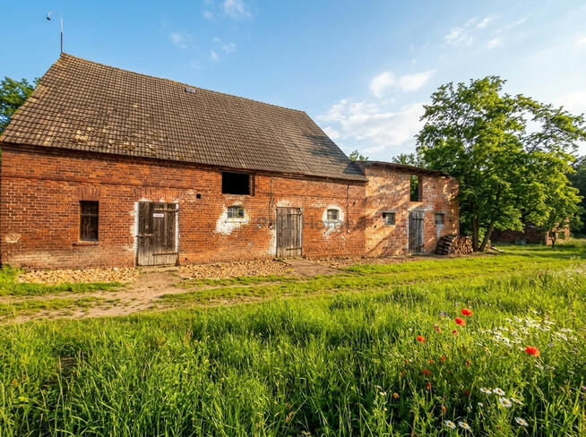 Działka siedliskowa Gębice gm. Trzebiechów,