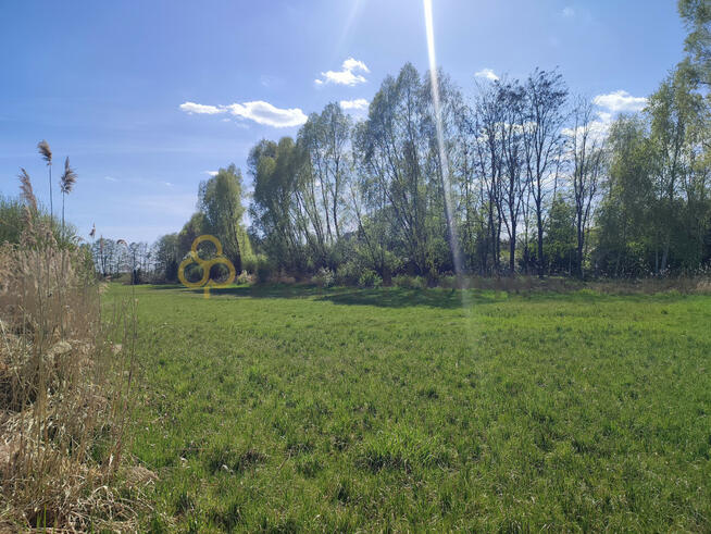 Działka rekreacyjna Jeleńczewo gm. Śrem,