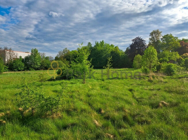 Działka inwestycyjna Wymiarki,