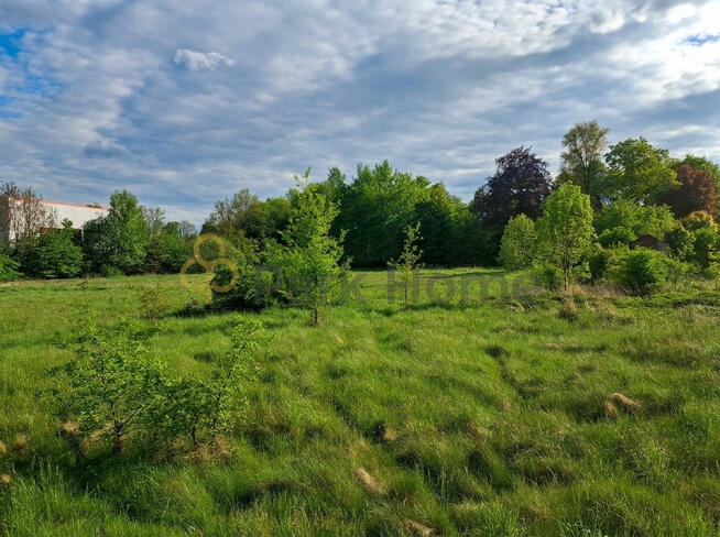 Działka inwestycyjna Wymiarki,