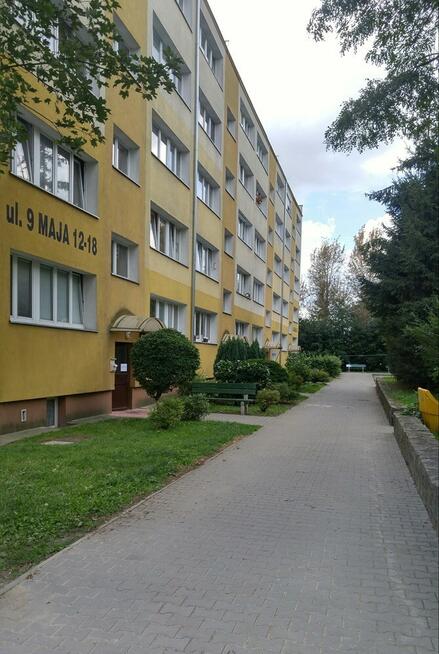 Kawalerka z piwnicą - 9 Maja 18