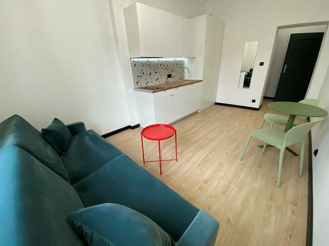 Studio obok Parku Wilsona - Strusia 11
