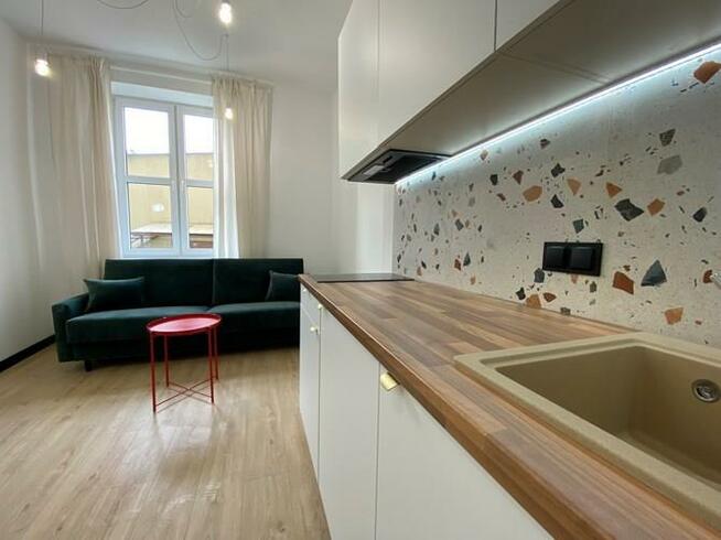 Studio obok Parku Wilsona - Strusia 11