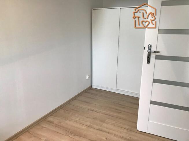2 pokoje, pet-friend, Kaszubska 63, Pl.Grunwaldzki
