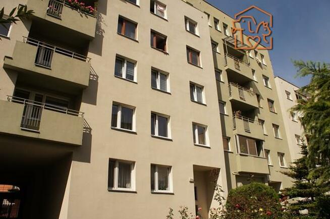 Studio pet-friendly - Śmiałego 29A, obok CH Turzyn
