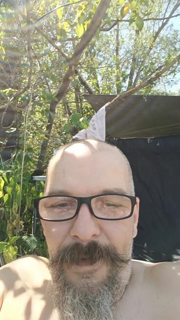 Szukam niewiasty