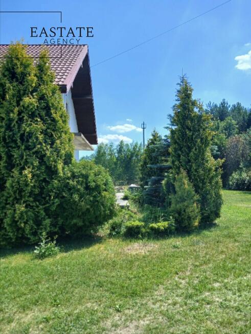 Działka budowlana - las, cisza, natura