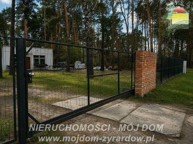 Działka leśna Międzyborów gm. Jaktorów