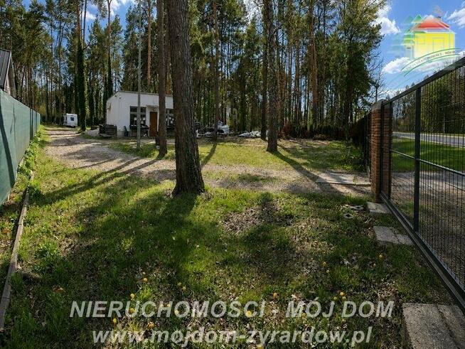 Działka leśna Międzyborów gm. Jaktorów