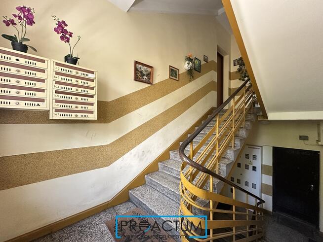 2 oddzielne pokoje, balkon, blisko UMK!