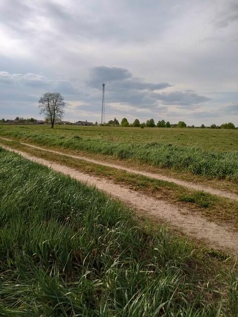 2300m2 Ploski działka budowl WZ wąska13m długa184m 666726744