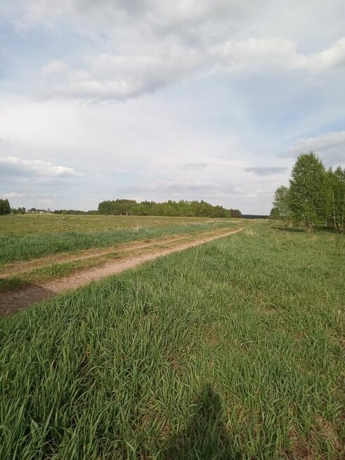 2300m2 Ploski działka budowl WZ wąska13m długa184m 666726744
