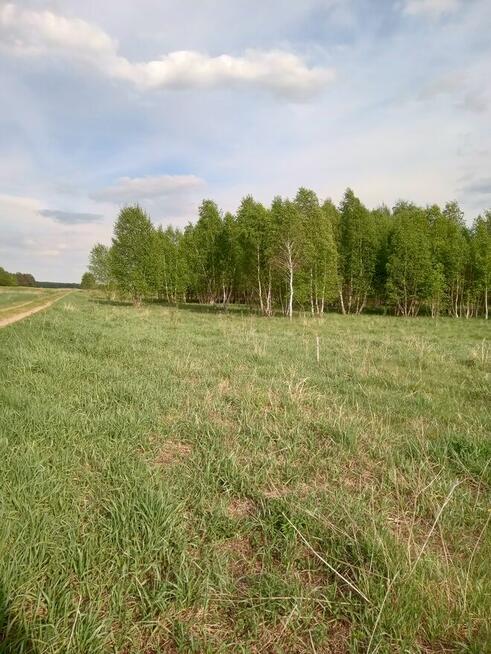 2300m2 Ploski działka budowl WZ wąska13m długa184m 666726744