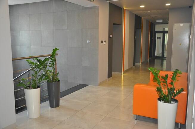Lokal biurowy do wynajęcia 36,18m² KATOWICE ŚRÓDMIEŚCIE