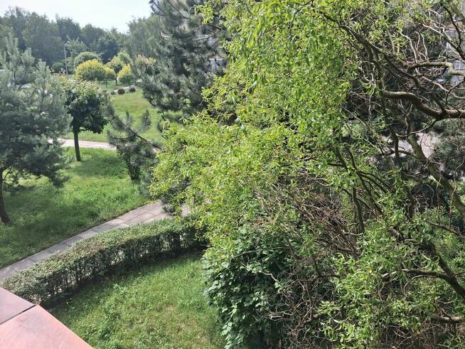 Wynajem mieszkania-niski blok-Boguszowice Karskiego