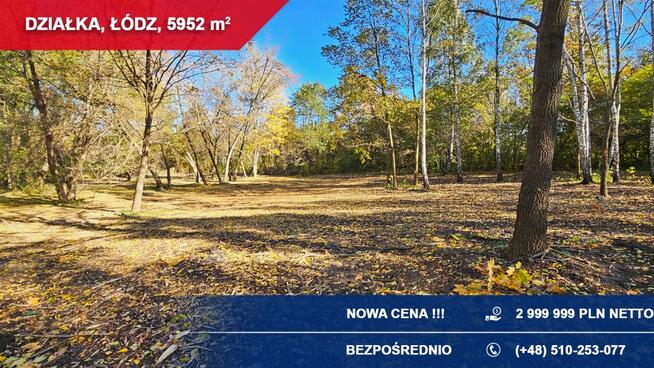 Działka inwestycyjna – Łódź, ul. Łomnicka 21 | TOP lokalizacja!