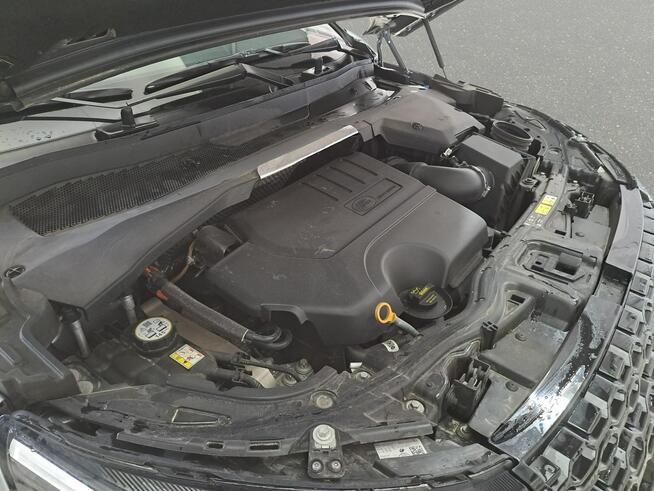 Land Rover Discovery Sport Poleasingowe.pl