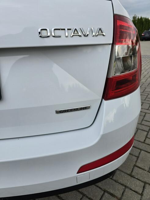 Škoda Octavia 1,6TDI Serwis.Navigacja.Klimatr 2 str.Asystent Parkowania.kredyt.OKAZJ