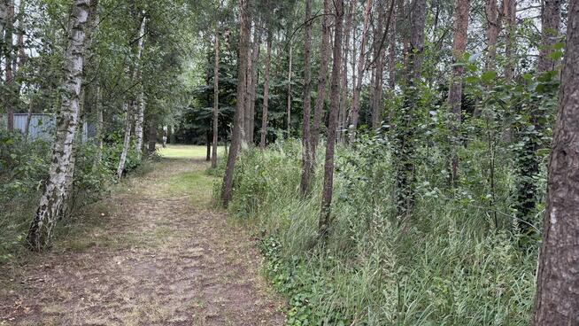32ar, woda, prąd, ogrodzona-Dziuplina