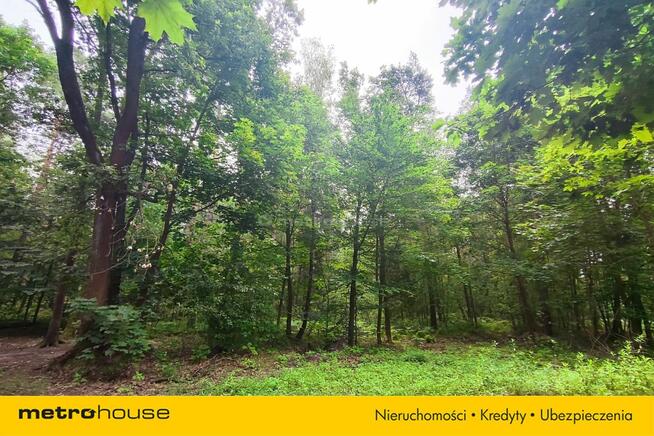 Tuż obok Leśnego Źródełka - Prywatny las 5218 m²
