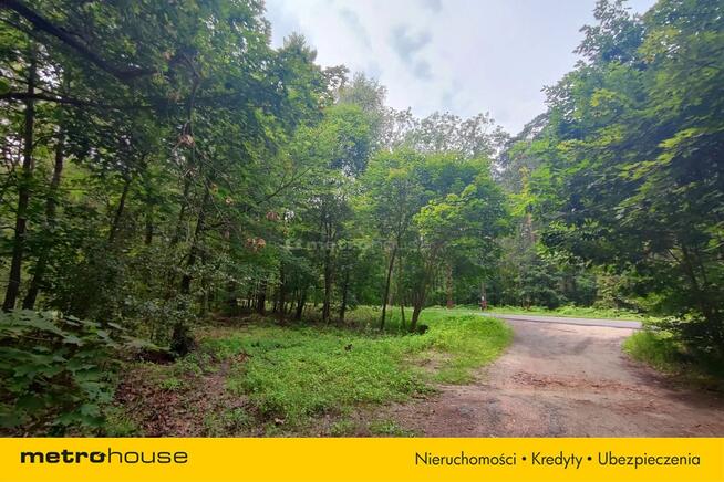 Tuż obok Leśnego Źródełka - Prywatny las 5218 m²
