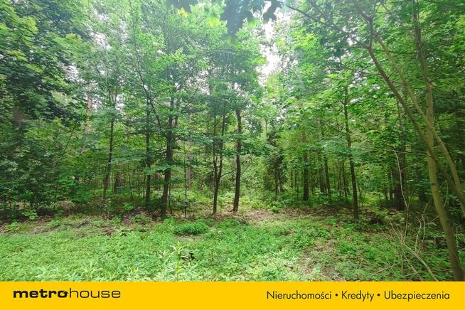 Tuż obok Leśnego Źródełka - Prywatny las 5218 m²