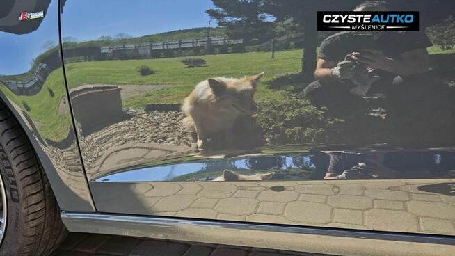 Auto Detailing Myślenice - Kraków | Korekta Lakieru | Detail