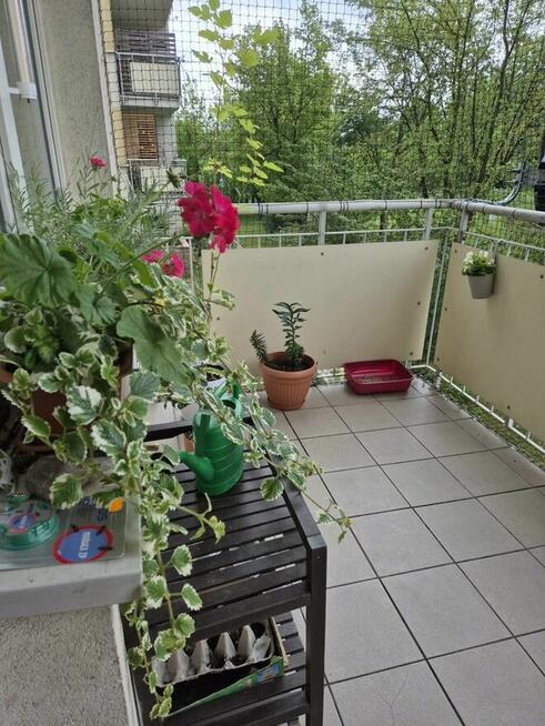 Mieszkanie na sprzedaż ul. Zielone Zacisze 3, bezpośrednio!