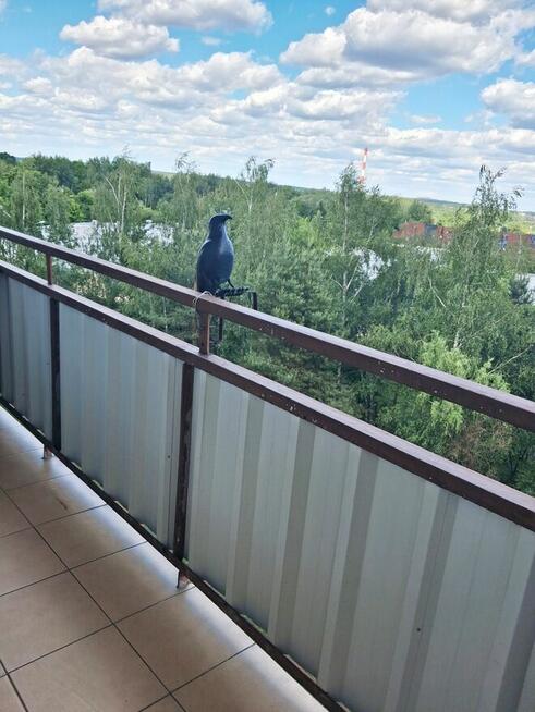 Zakup także dla obcokrajowców - niski blok- os.Sikorskiego