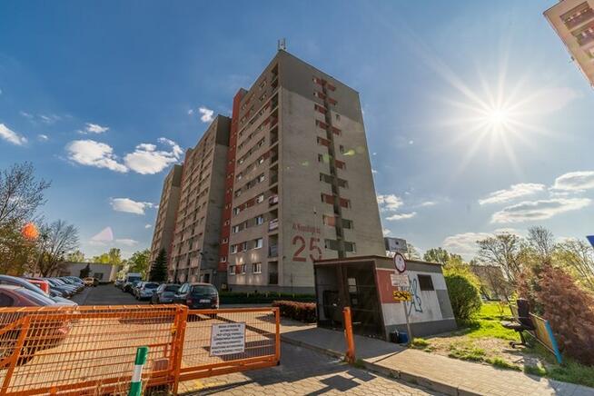 Wynajmę jasną kawalerkę, Niepodległości 25