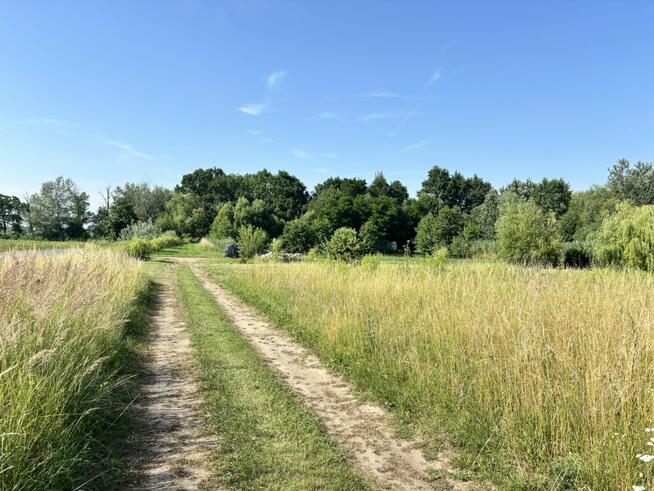 Działka budowlana Piotrkowice gm. Prusice,