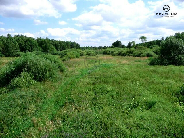Działka inwestycyjna Ciechocin,