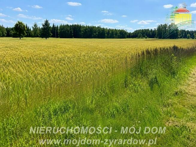 Działka rolna Studzieniec gm. Puszcza Mariańska